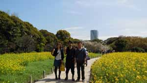 お花見散歩（浜離宮庭園・浅草）